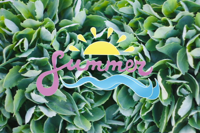summer