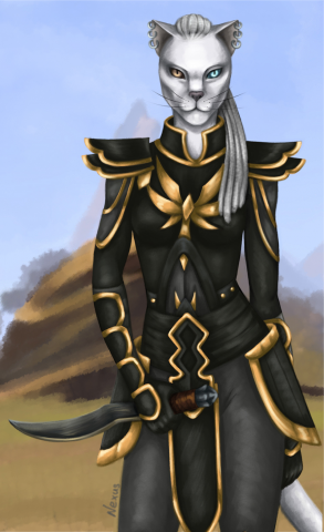 TES khajiit
