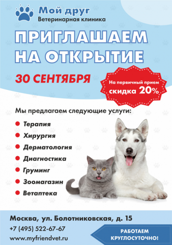 Листовка для ветклиники