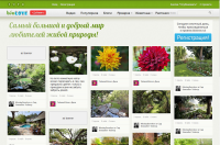 Сайт фотохостинга (Pinboard)