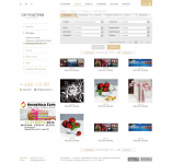 дизайн сайта topposters.ru