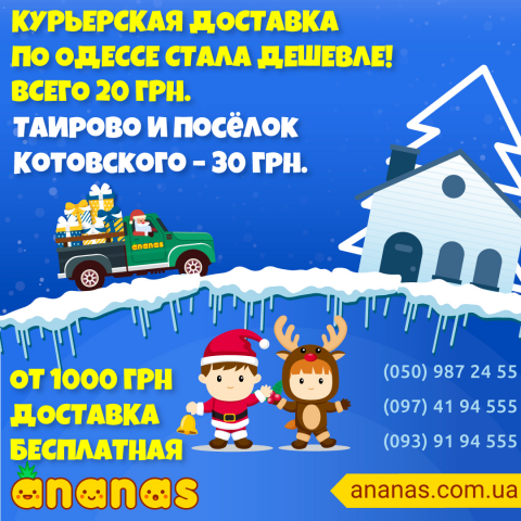 Баннер - Доставка Новогодняя.