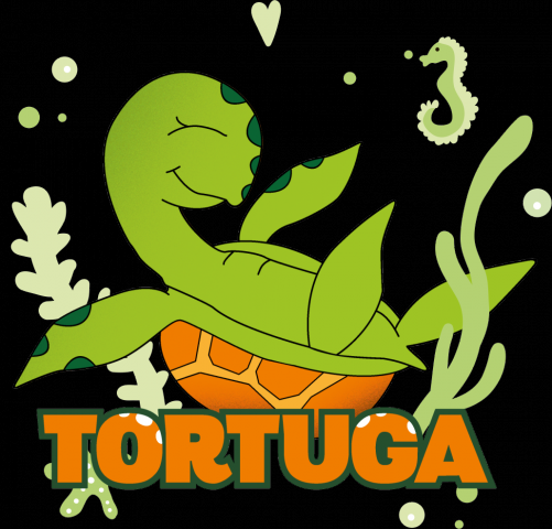 Tortuga (интернет-магазин детской одежды)
