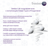 Новогоднее поздравление Serebro Lab 2013
