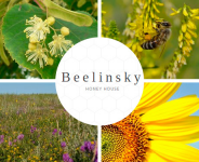 Тексты на английском для сайта компании Beelinsky