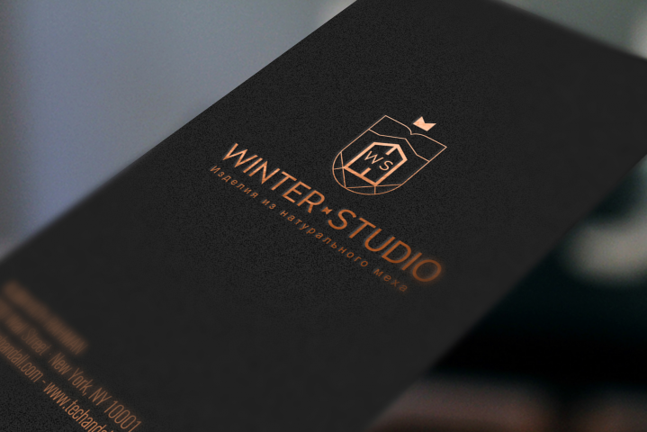 Логотип для "Winter-Studio"