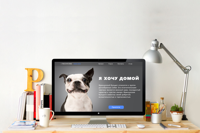 Сервис по поиску питомцев