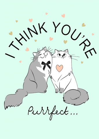 Cats
