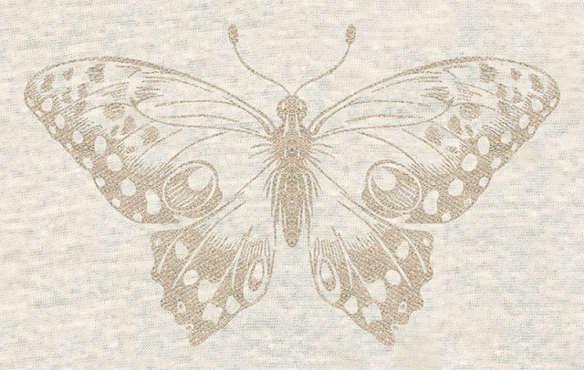 Butterfly_01