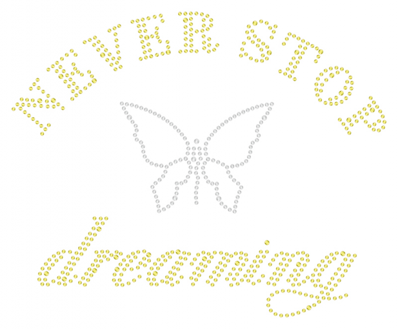 NEVER STOP dreaming (strass motif)
