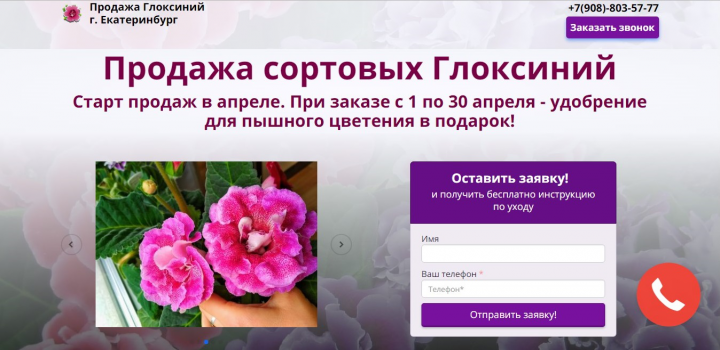 Глоксинии