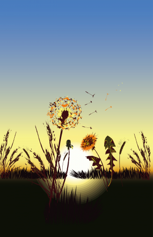 Спокойствие