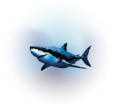 наклейка на авто