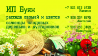 Визитка ИП Буян