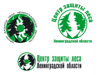 конкурсная работа