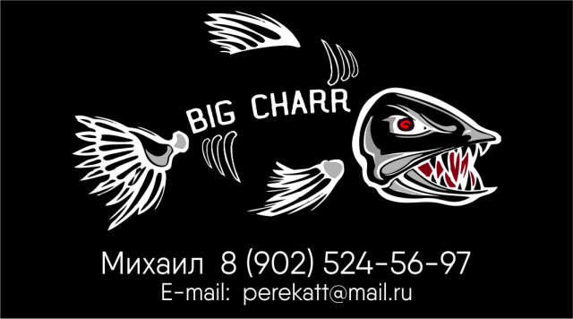 Разработка макета визитки для ИП
