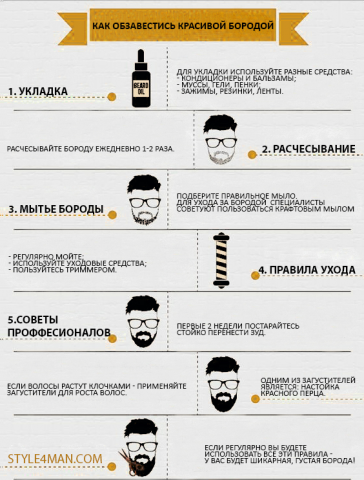 Инфографика " Как обзавестись красивой бородой"