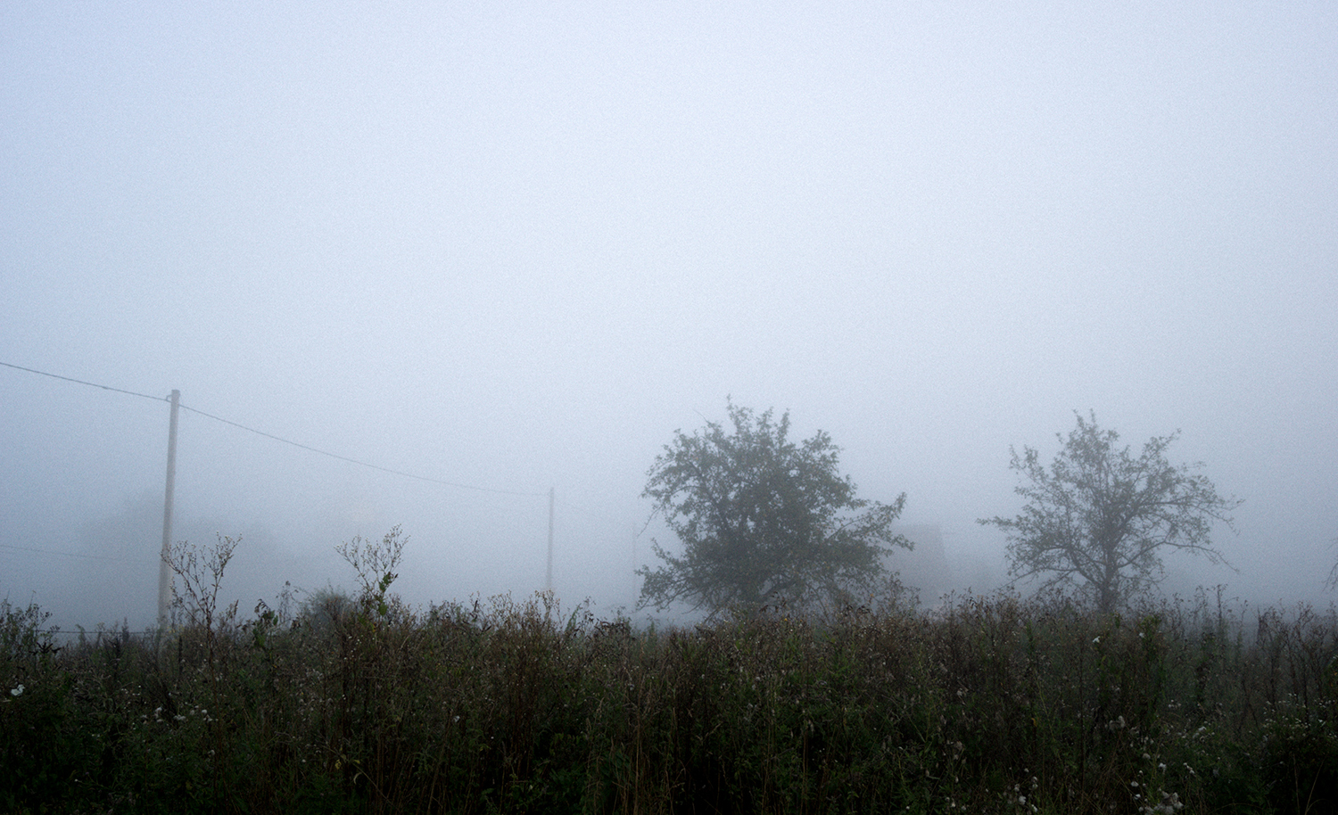 pic2548212.jpg