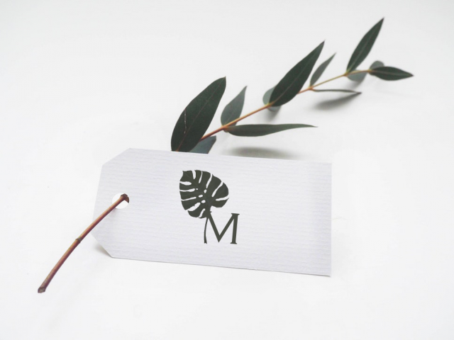 Логотип для компании доставки цветов "Monstera"