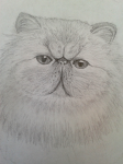 Котэ