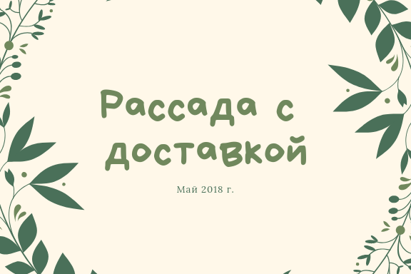 Этикетка для рассады