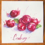 Иллюстрация "Брусника"