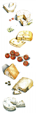 Иллюстраций продуктов