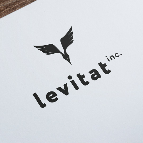 Логотип "Levitat"