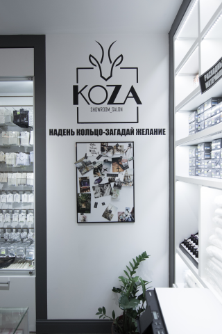 DS_Koza
