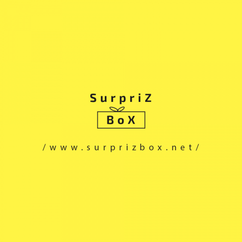 SurprizBox_Logo_Маскот 2