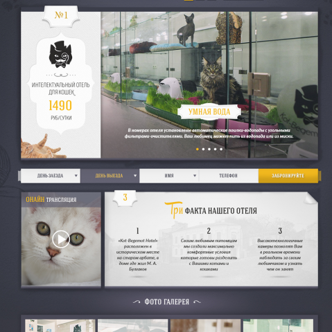 Конкурсна робота "Hotel cats"