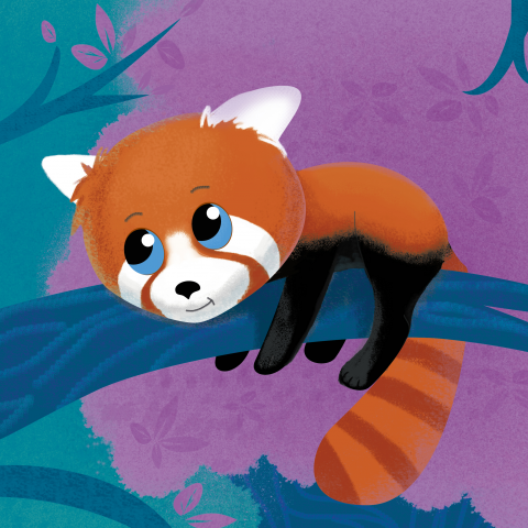 panda red