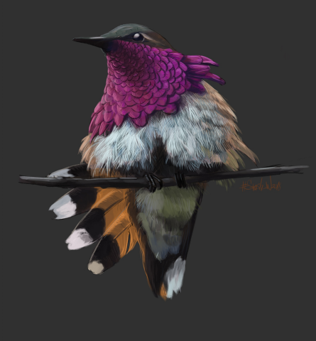 a bird