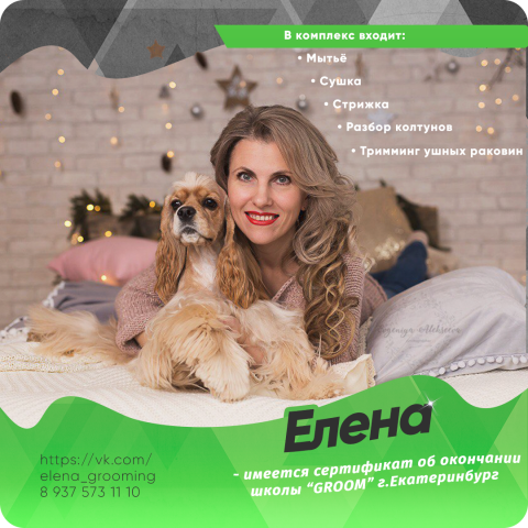 "Elena GROOM"