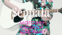 РЕКЛАМНЫЙ РОЛИК SEPPALA