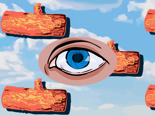 Соринка в глазу