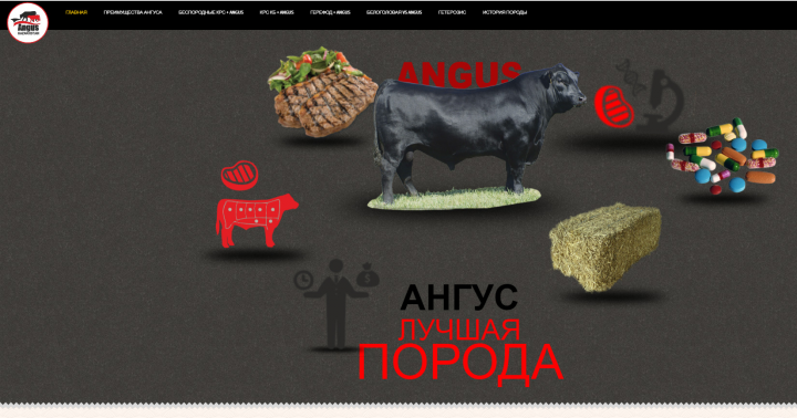Landing page: "Приемущества Ангуса"