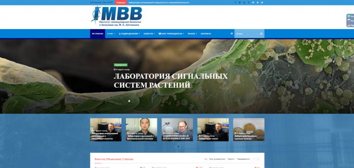 Адаптивный корпоративный сайт
