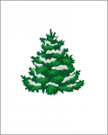 Вектор