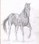 Рисунок