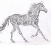 Рисунок
