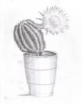 Рисунок