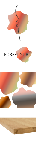 Лого "Forest.guru"
