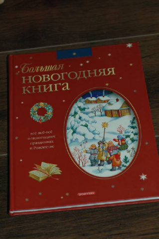 Большая новогодняя книга