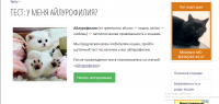 Заполнение сайта про кошек