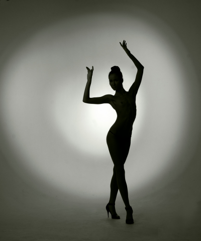 портрет силуэтный