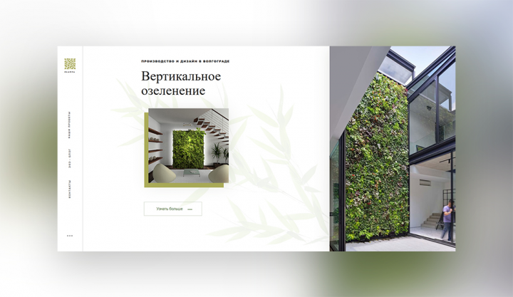 Вертикальное озеленение