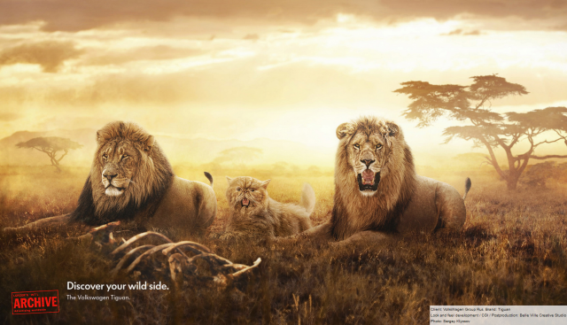 Рекламная ретушь / Коллаж