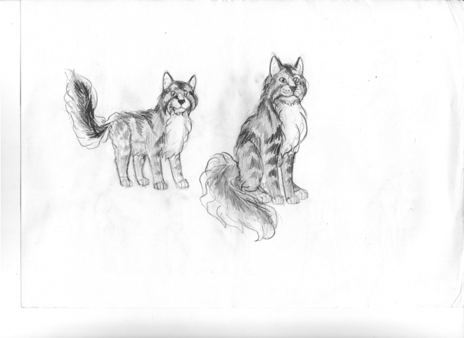 Кот Кофе