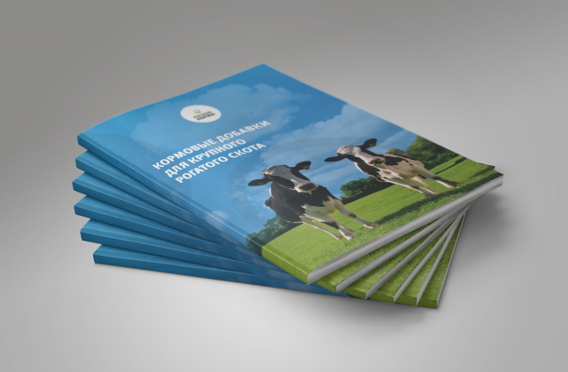 Многостраничный буклет А4